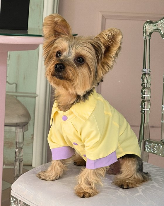 Camisa para Cachorro 100% Algodão - COLEÇÃO AMOR PERFEITO