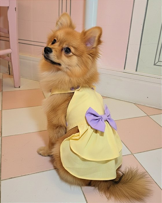 Vestido para Pet Algodão - COLEÇÃO AMOR PERFEITO