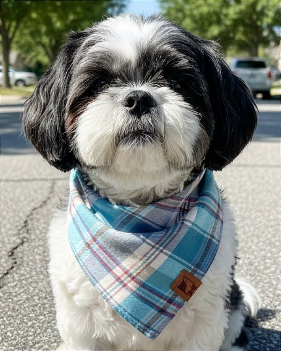 Bandana para Cachorro 100% algodão - COLEÇÃO XADREZ AZUL BEBE