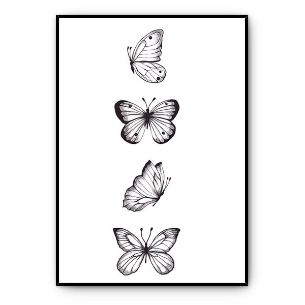 Quadro Coleção Borboleta