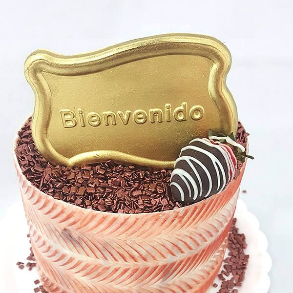 Forma para Chocolate Placa Bienvenido Forma Simples Ref. 9527 BWB 5unids