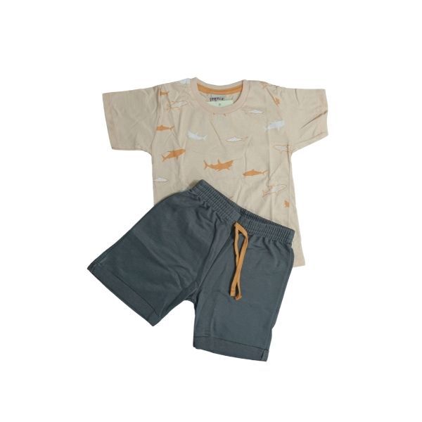 Conjunto Tubarão Laranja e Cinza