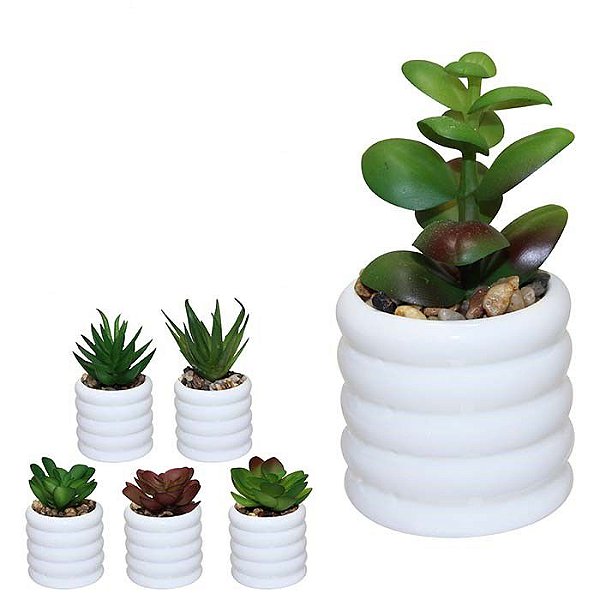 Vaso de cerâmica branco com suculenta