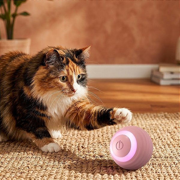 Bolinha Interativa para Gatos