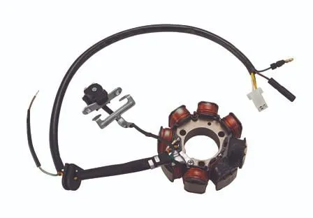 Estator Magneto CRF230 07 878722