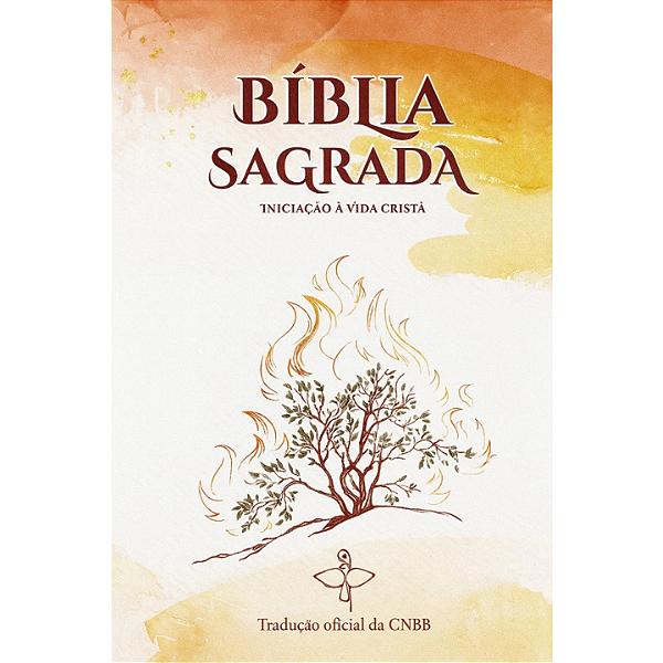 Bíblia Sagrada Iniciação Vida Cristã 6ª Edição