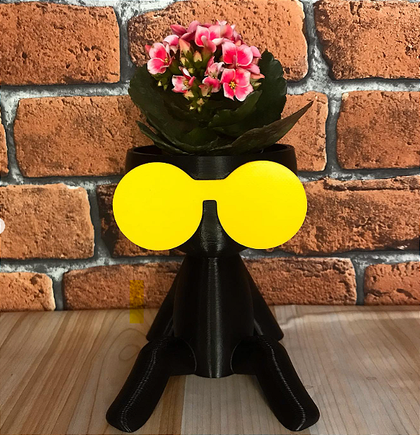 Vaso bob de óculos Impressão 3D