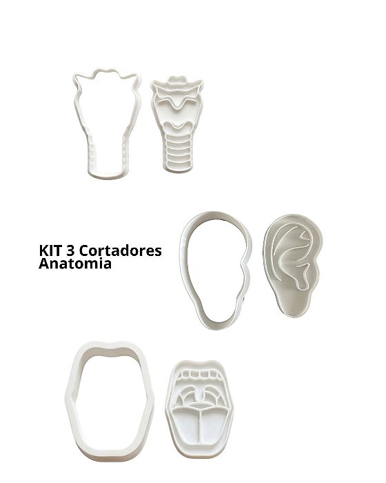 KIT C/ 3 Cortadores Modelo Anatomia - Bola - Laringe - Ouvido - Estudo e Anatomia - FonoComAmor
