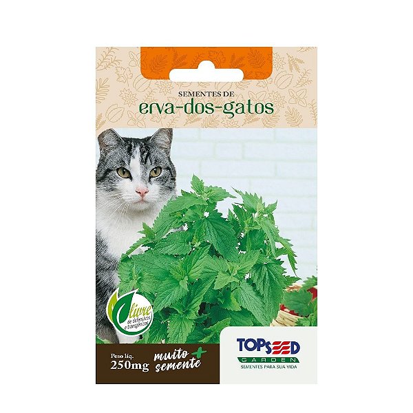 Sementes de Erva de Gatos Catnip 500 sementes