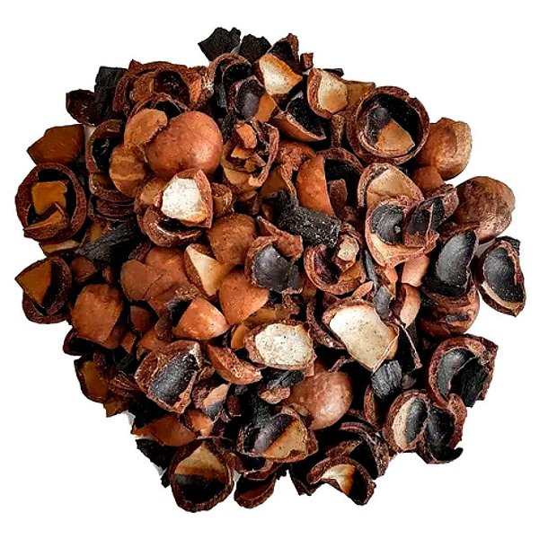 Casca de Macadâmia Substrato p/ Plantas Orquídeas Pacote 3L