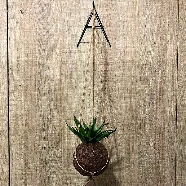 Kit Suporte A Para Parede + Kokedama Fibra De Coco Suspenso