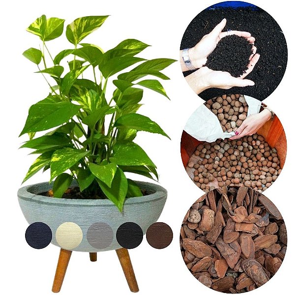 Kit Vaso Bacia Plantas 32cm + Muda de Jibóia Verde + Substrato