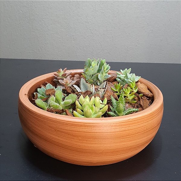 Vaso de Cerâmica para Suculentas