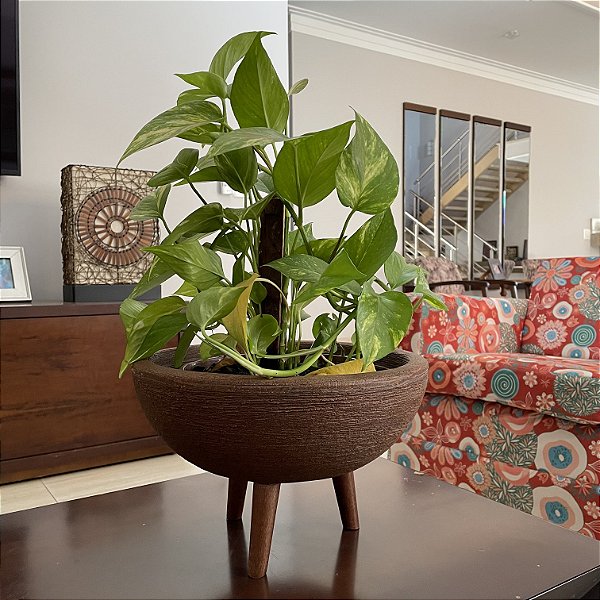 Vaso Bacia com Tripé de Madeira Decorativo para Flores