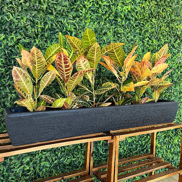 Jardineira Floreira de Plantas Fina para Horta Decorativa