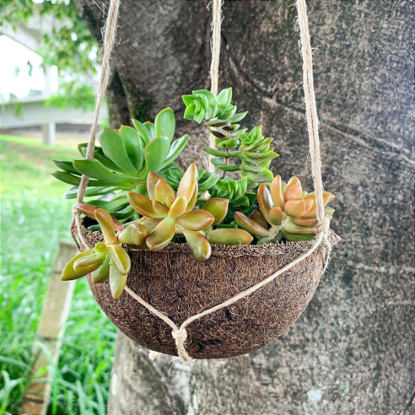 Vaso Suspenso de Fibra de Coco Cestimdama 7x14cm