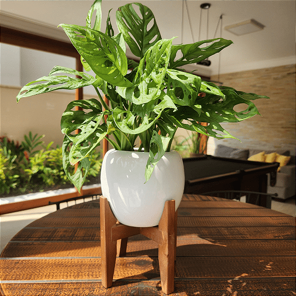 Vaso Cachepot de Mesa 15cm Porcelana com Tripé de Madeira