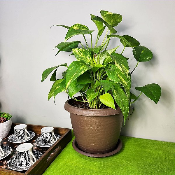 Vaso Redondo de Plástico para Plantas Flores Siena 20 a 30cm