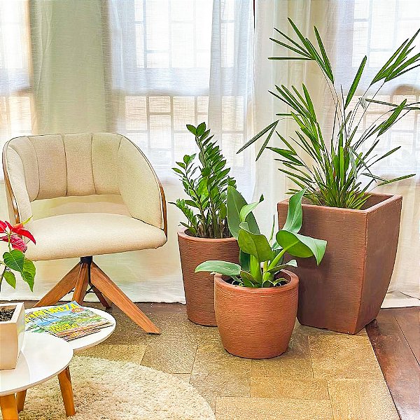 Kit 3 Vasos Médios de Plantas para Salas e Interna Externa