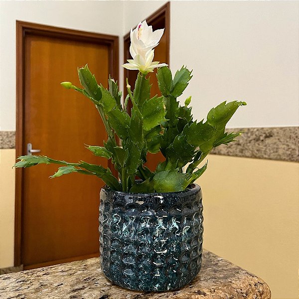 Vaso Cachepot de Mesa 15cm Redondo de Cerâmica Texturizada