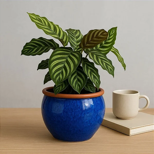 Vaso Cachepot de Mesa 18cm Cerâmica Esmaltada Para Decoração