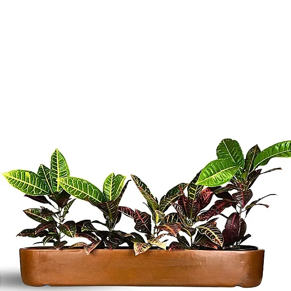 Jardineira Doha Para Plantas Floreira de Polietileno 80cm