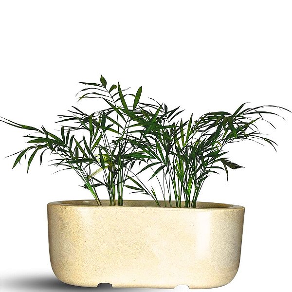 Jardineira Doha Para Plantas Floreira de Polietileno 30cm