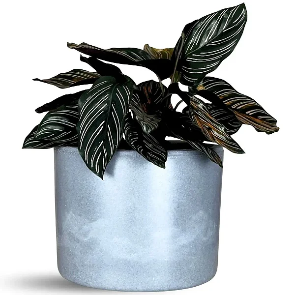 Vaso Para Planta Decorativo Redondo Mini Doha 14x19cm