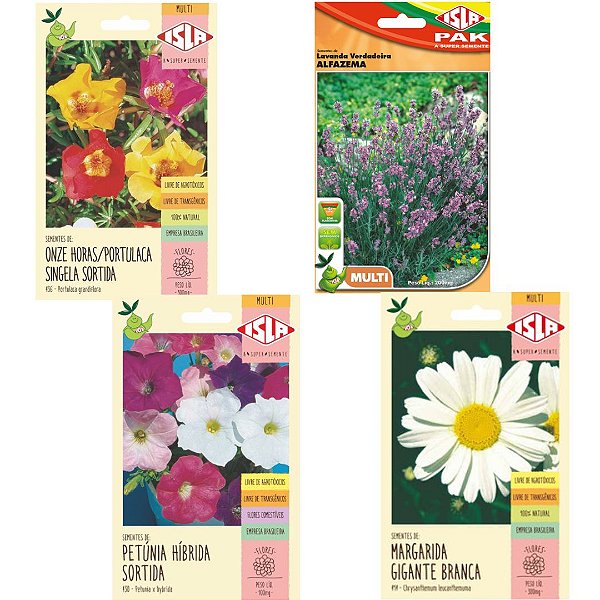 Kit Semente de Flores - Lavanda + Margarida + Onze Horas