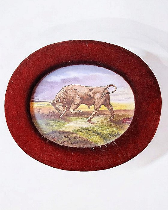 Antiga placa de porcelana europeia pinta a mão ´´ Touro``.