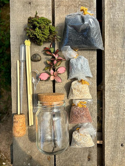 KIT FAÇA VOCÊ MESMO SEU TERRÁRIO - Olívia