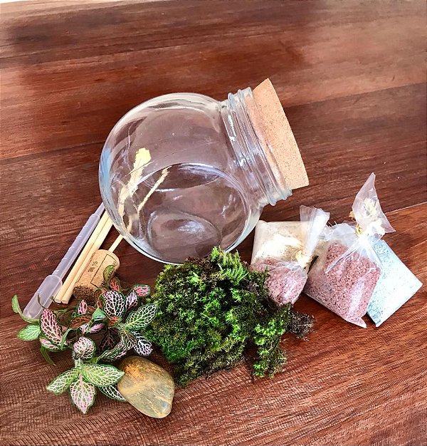 Kit faça você mesmo seu Terrário - Lado