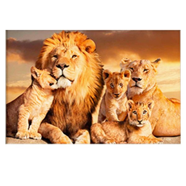 Quadro Família leos 40x60