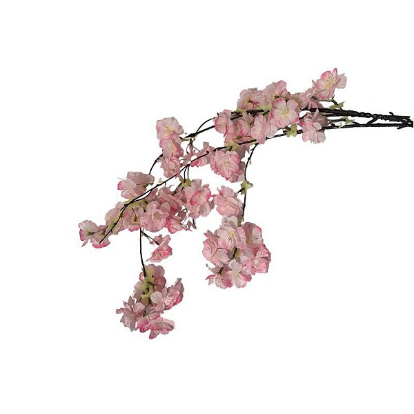 GALHO DE CEREJEIRA CAIDA CR-0057RS