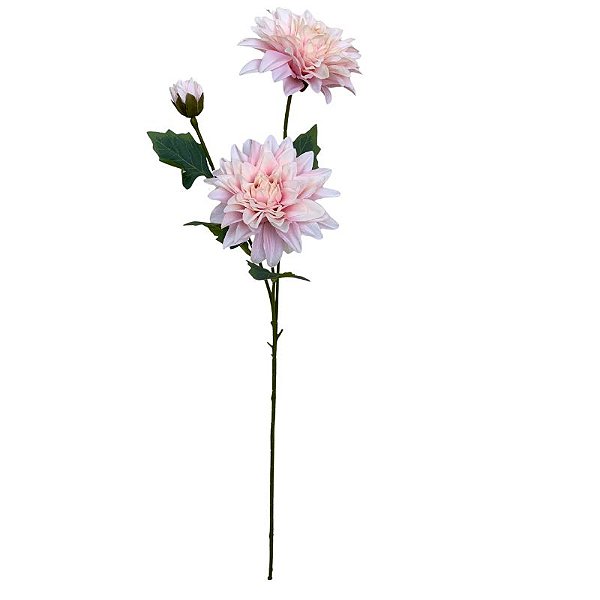 GALHO DE DALIA-ROSA CLARO EQ-0024RC