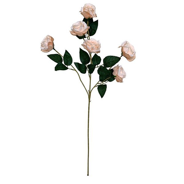 GALHO ROSA CHAMPANHE CR-0117CH