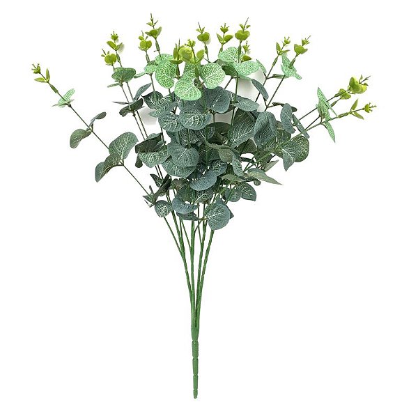 BUQUE EUCALIPTO CR-0087