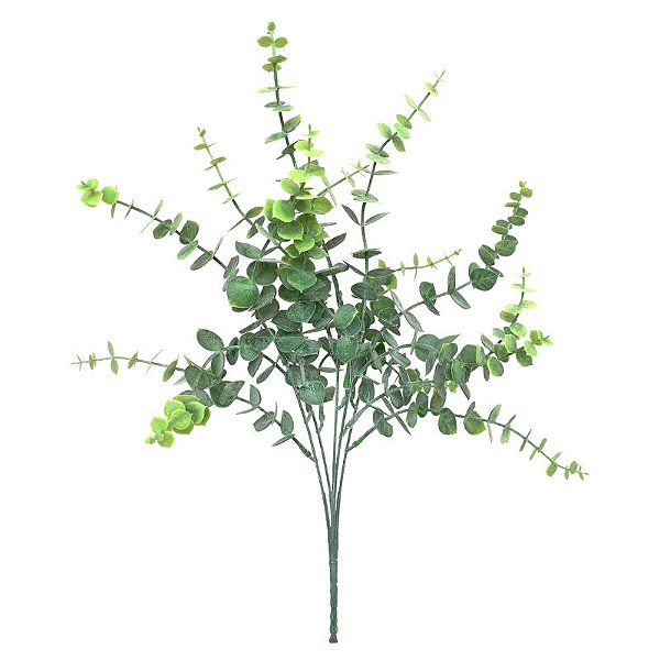 BUQUE EUCALIPTO CD-0088
