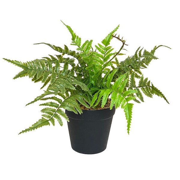 ARRANJO DE SAMAMBAIA FF-0028