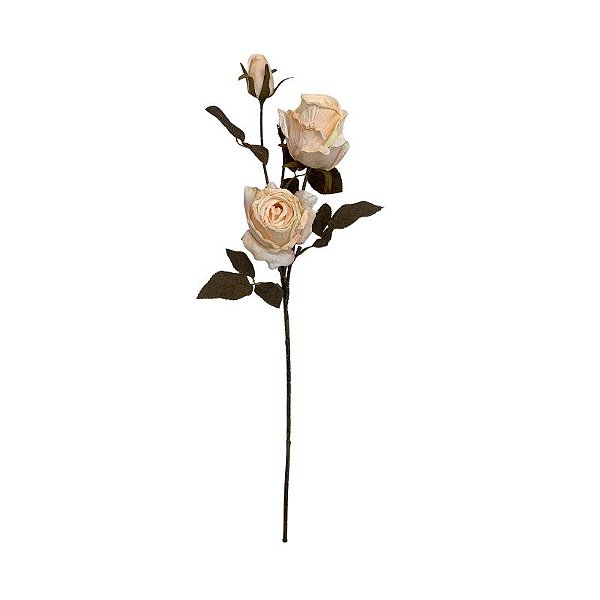 GALHO DE ROSA OUTONADA CHAMPANHE BC-0029CH