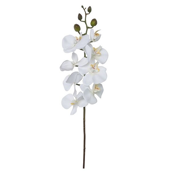 GALHO DE ORQUIDEA DM-0004