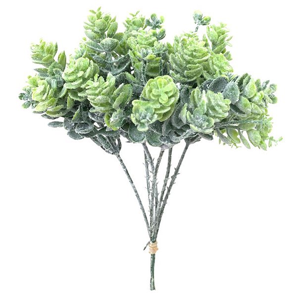 PICK SUCULENTA CD-0073