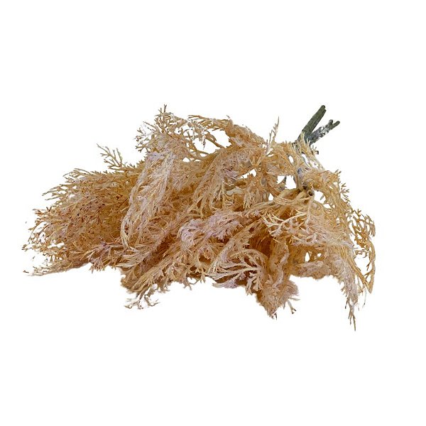 BUQUE CORAL AMARELO CD-0117AM
