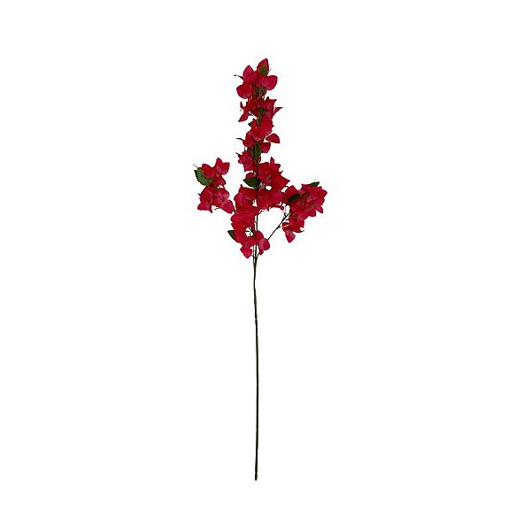 GALHO DE BOUGAINVILLE PINK