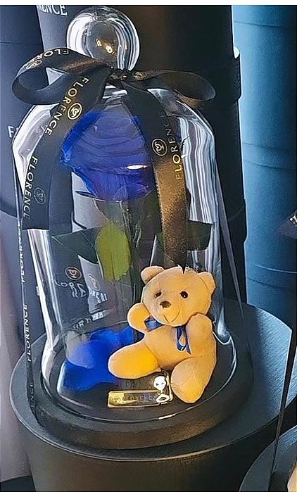 Rosa Encantada Azul na Cúpula de Vidro Com Ursinho - Dura de 1 a 3 anos!