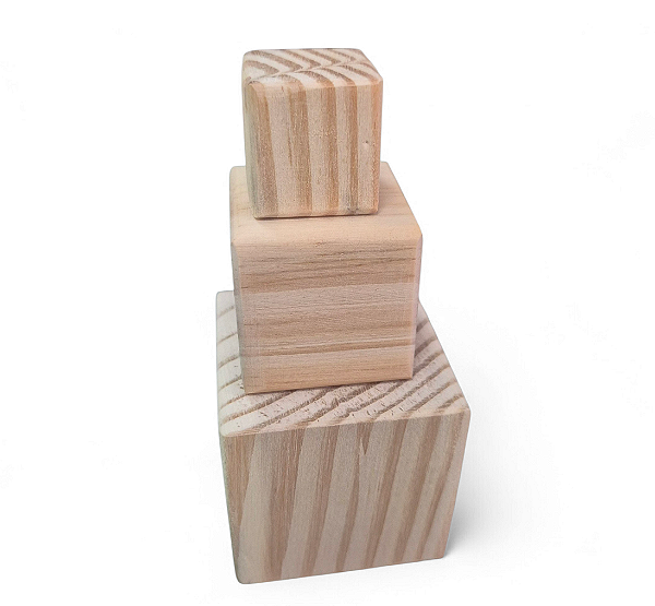 Kit Cubos de Madeira Fashion Toys
