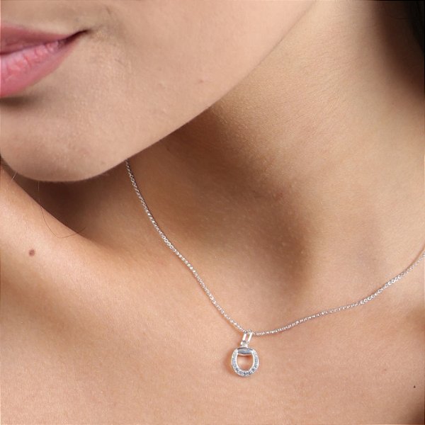 Colar meio bridão cravejado prata 925