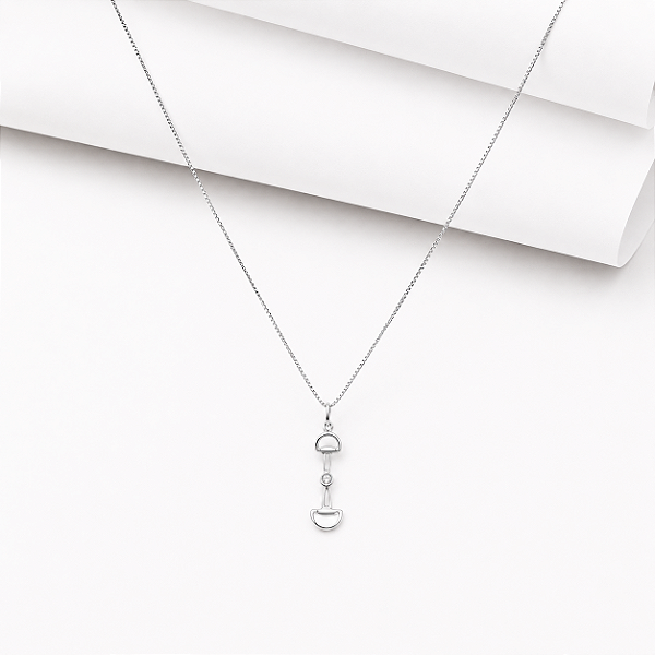 Colar bridão vertical ponto de luz prata 925