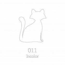 HIDRO VITRAL 40ML INCOLOR GATO PRETO