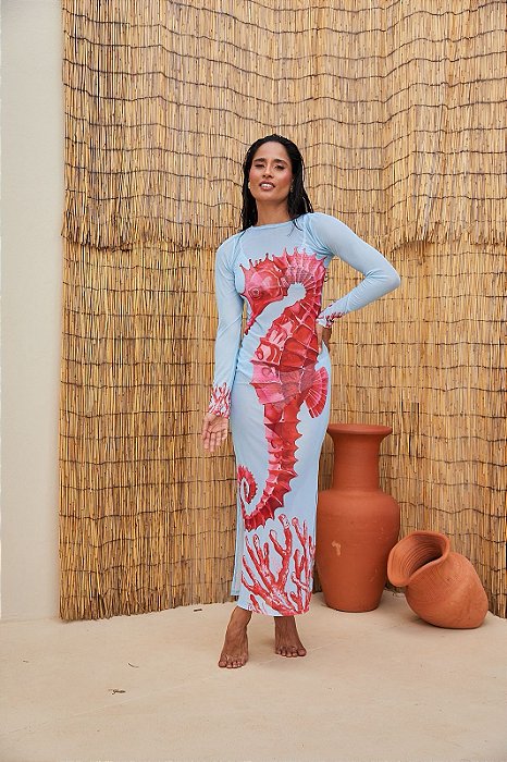 Saída Cavalo Marinho